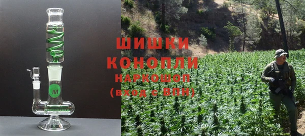ГАЛЛЮЦИНОГЕННЫЕ ГРИБЫ Аркадак